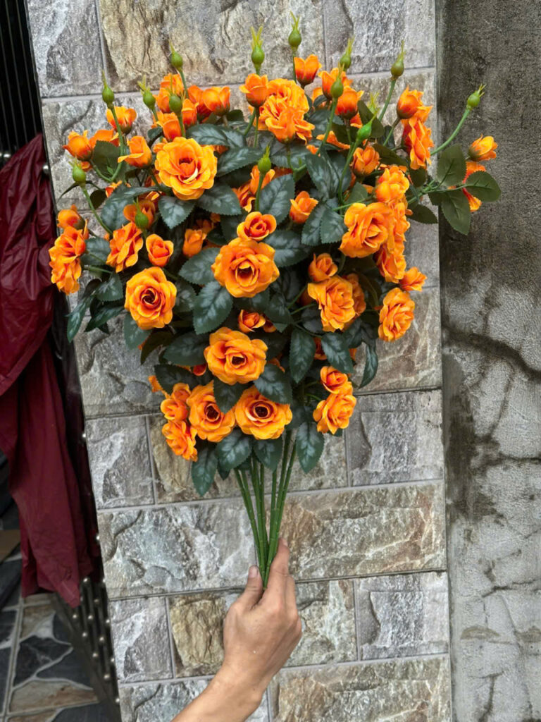Hồng Rose – Cam