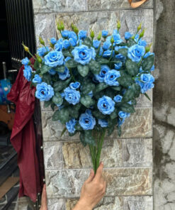 Hồng Rose – Xanh