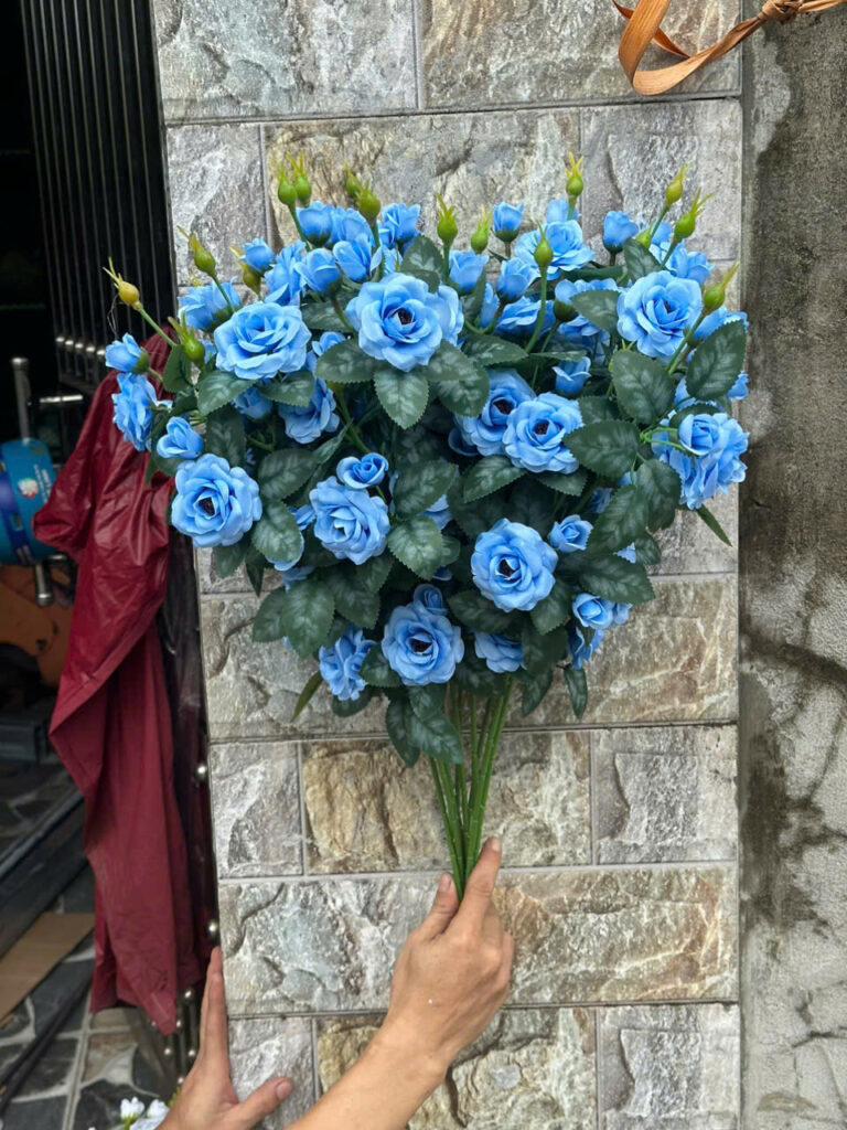 Hồng Rose – Xanh
