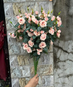 Hồng Rose – Kem