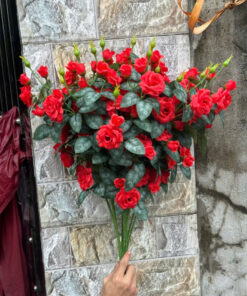 Hồng Rose – Đỏ