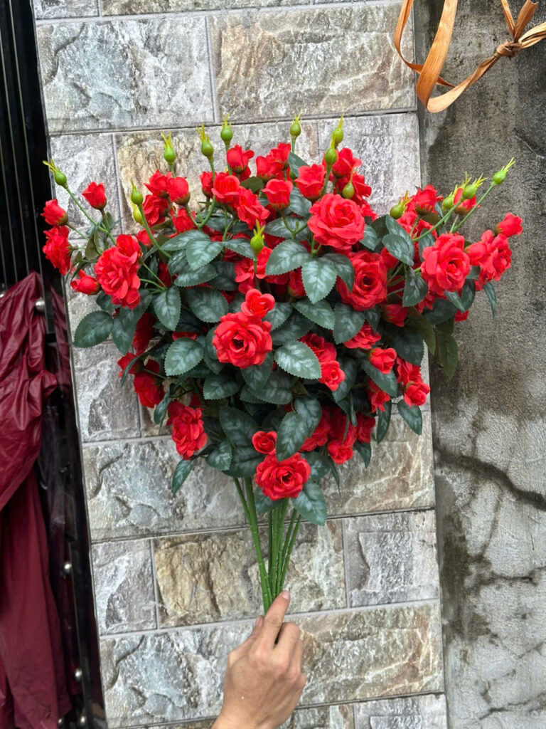Hồng Rose – Đỏ