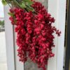 Tử Đằng Víp – Đỏ
