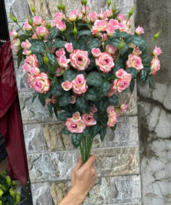 Hồng Rose – Hồng Đỏ