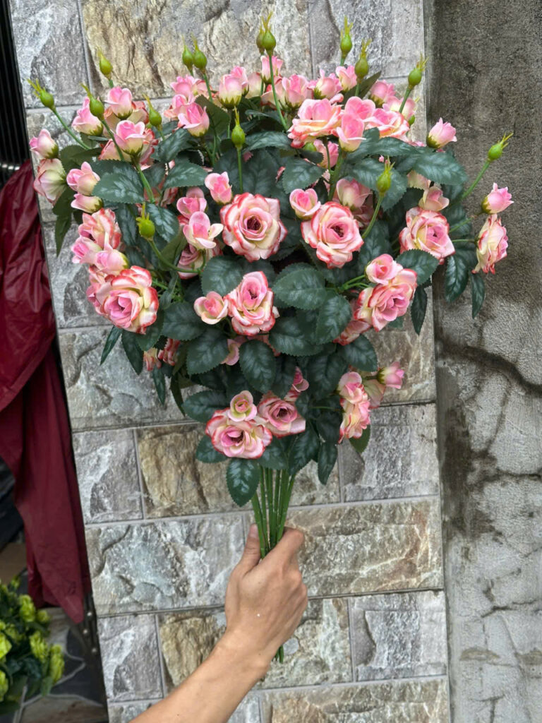 Hồng Rose – Hồng Đỏ