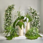 Backdrop Chụp Ảnh Hottrend