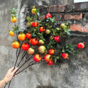 Lựu thân mọc quả to