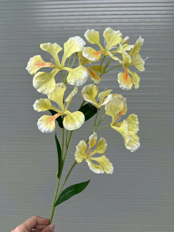 Hoa Phượng - Ảnh 9