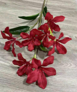 Hoa Ban Đại – Đỏ