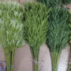 Ngọn tre