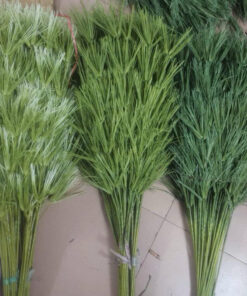 Ngọn tre