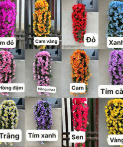 Hoa Đỗ Quyên