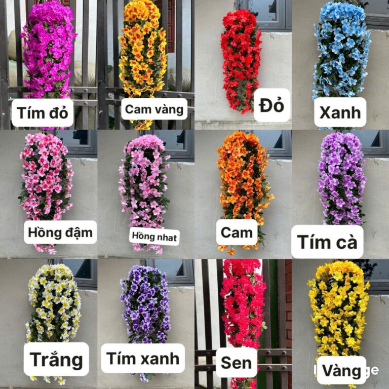 Hoa Đỗ Quyên