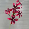LY LỬA